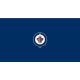 Winnipeg Jets‚Äö√ë¬¢ 8 foot Billiard Cloth