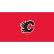 Calgary Flames 8 foot Billiard Cloth