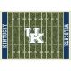 Kentucky Wildcats 4x6 Homefield Rug