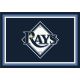 Tampa Bay Rays 4'x6' Spirit Rug