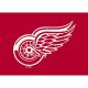 Detroit Red Wings 4X6 Spirit Rug