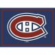 Montreal Canadiens 4X6 Spirit Rug