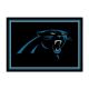 Carolina Panthers 4'x6' Spirit Rug