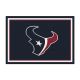 Houston Texans 4'x6' Spirit Rug