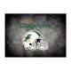 Miami Dolphins 4'x6' Distressed Rug