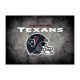 Houston Texans 4'x6' Distressed Rug