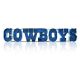 Dallas Cowboys Recycled Metal Lighted Sign