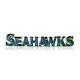 Seattle Seahawks Recycled Metal Lighted Sign