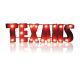 Houston Texans Recycled Metal Lighted Sign