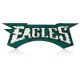 Philadelphia Eagles Recycled Metal Lighted Sign