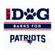 New England Patriots 10 inch My Dog Barks Wall Art, White Background